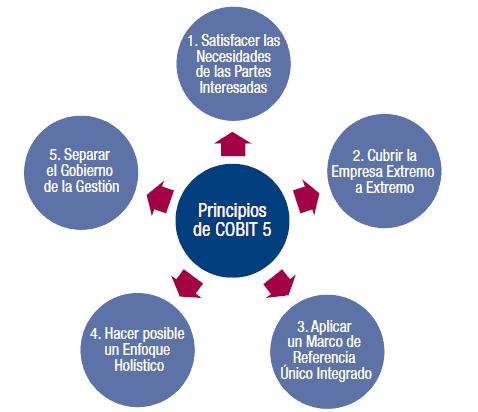 Resultado de imagen para principios del cobit